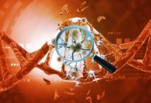 Descifrarea senescenței celulare de la rădăcină