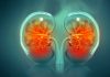Imagistica moleculară ar putea detecta fibroza renală în stadii incipiente