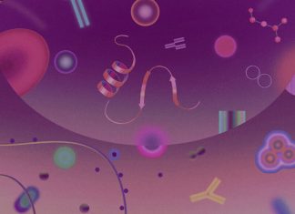 Biomarkerii Proteici în Dezvoltarea Medicamentelor: Cum Pot Reduce Riscurile 0 (0)