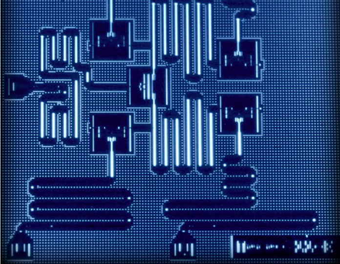 Screen-Shot-2017-03-31-at-1.37.22-PM