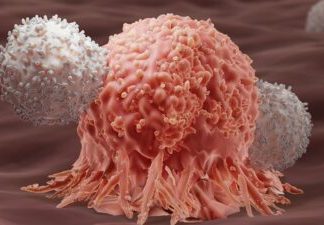 O nouă terapie cu ARN mesager combate cancerul prin optimizarea celulelor T 0 (0)
