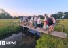 Proiectul care aduce natura mai aproape de locuitorii orașelor