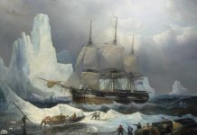 Descoperiri Noi: ADN-ul Dezvăluie Identitatea a Patru Membri ai Expediției Franklin
