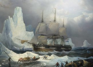 Descoperiri Noi: ADN-ul Dezvăluie Identitatea a Patru Membri ai Expediției Franklin 0 (0)