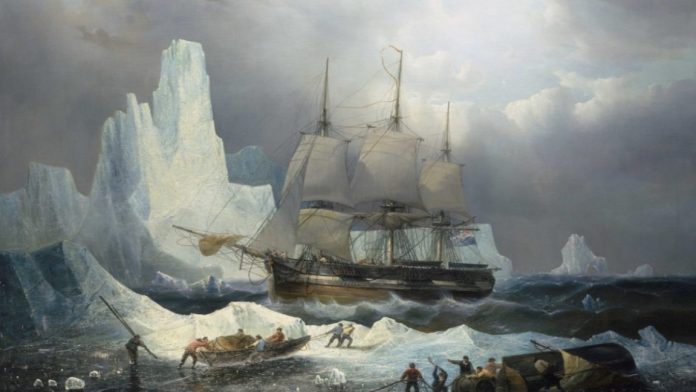arcticTOP-1152x648