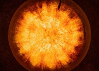 Ce este fuziunea nucleară și proiectul ITER pe înțelesul tuturor 0 (0)