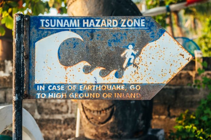 Cum monitorizăm tsunami-urile prin rețele globale de senzori?