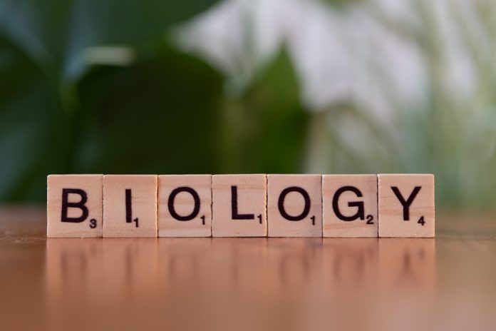 De ce avem nevoie de standarde etice în biotehnologie