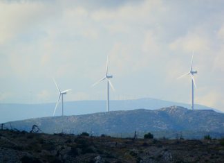 Energia eoliană: Cum au apărut primele mari parcuri de turbine pe glob? 0 (0)