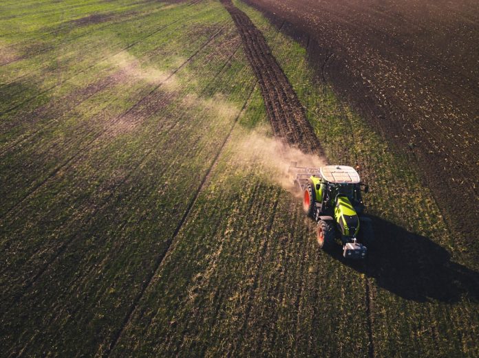 Inovația în agricultură: Cum hrănim 10 miliarde de oameni