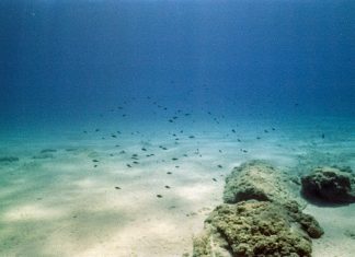 Maparea fundului oceanic: Descoperirea munților subacvatici necunoscuți. 0 (0)