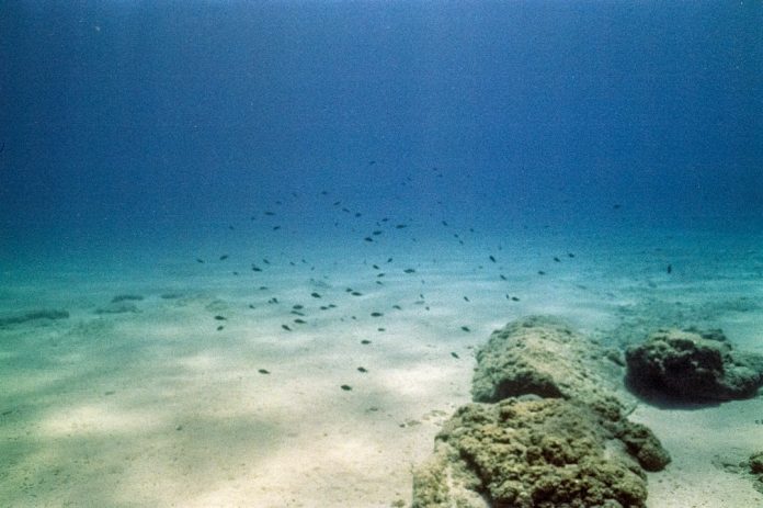 Maparea fundului oceanic: Descoperirea munților subacvatici necunoscuți.