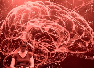 Neuroplasticitatea: Descoperirea că creierul nostru se poate regenera. 0 (0)