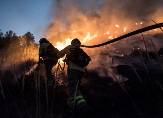 Previziuni alarmante: incendii, inundații și valuri de căldură severe din cauza El Niño 0 (0)