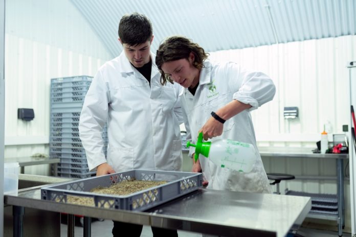 Știința culinară: De la chimie la arta gustului
