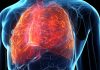 O tehnică de imagistică poate diferenția inflamația pulmonară de fibroză