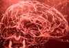 Boala Alzheimer: Cât de aproape suntem de un tratament curativ?