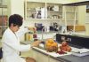 Carnea cultivată în laborator: Gustul viitorului fără sacrificarea animalelor.