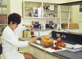 Carnea cultivată în laborator: Gustul viitorului fără sacrificarea animalelor.