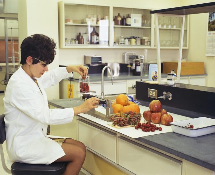 Carnea cultivată în laborator: Gustul viitorului fără sacrificarea animalelor.