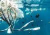Marea insulă de gunoi din Pacific: Cum curățăm oceanele de microplastic.
