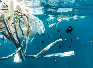Marea insulă de gunoi din Pacific: Cum curățăm oceanele de microplastic.
