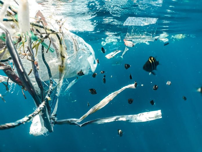 Marea insulă de gunoi din Pacific: Cum curățăm oceanele de microplastic.