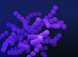 Microbiomul intestinal: Al doilea creier care ne controlează starea de spirit.