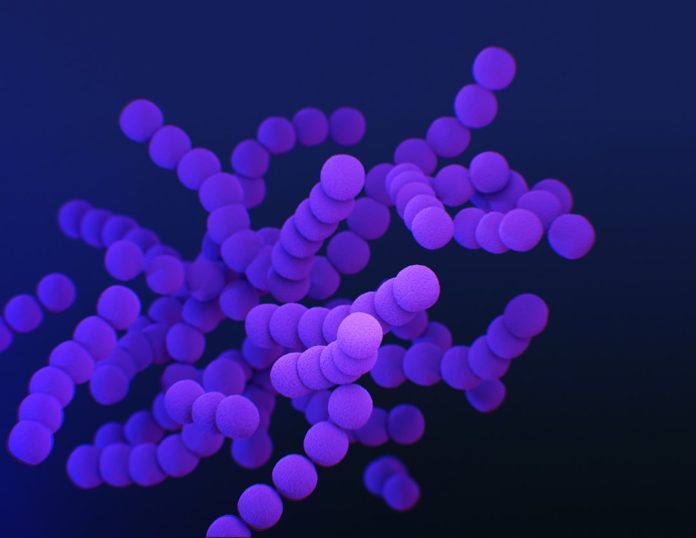 Microbiomul intestinal: Al doilea creier care ne controlează starea de spirit.