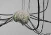 Optogenetica: Controlul neuronilor cu ajutorul fasciculelor de lumină.