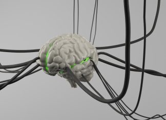 Optogenetica: Controlul neuronilor cu ajutorul fasciculelor de lumină.