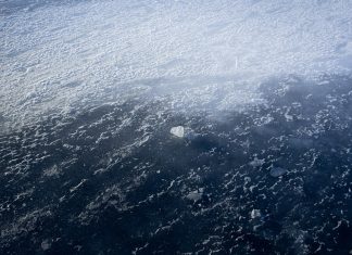 Paleoclimatologia: Cum ne ajută bulele de aer din gheața arctică să înțelegem trecutul ecologic.