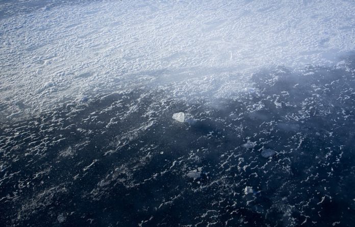 Paleoclimatologia: Cum ne ajută bulele de aer din gheața arctică să înțelegem trecutul ecologic.