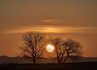 Cum arată o zi pe o planetă cu trei sori?