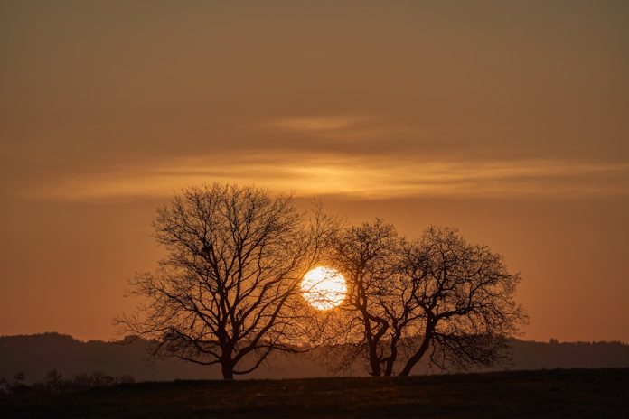 Cum arată o zi pe o planetă cu trei sori?