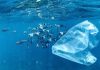 Marea insulă de gunoi din Pacific: Cum curățăm oceanele de microplastic.