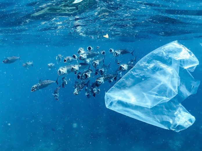 Marea insulă de gunoi din Pacific: Cum curățăm oceanele de microplastic.