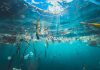 Microplasticul din corpul nostru: Unde s-a găsit și ce efecte are asupra sănătății?
