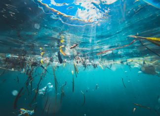 Microplasticul din corpul nostru: Unde s-a găsit și ce efecte are asupra sănătății?