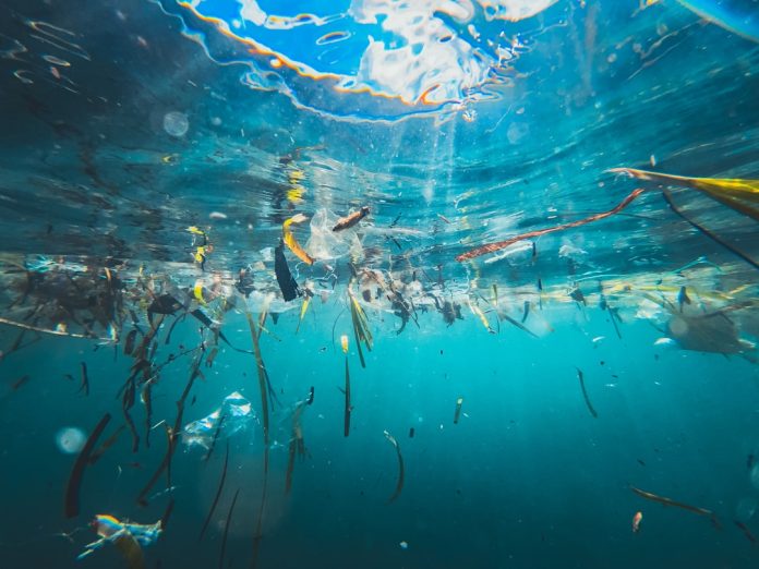 Microplasticul din corpul nostru: Unde s-a găsit și ce efecte are asupra sănătății?