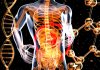 Psihobioticele: Cum influențează bacteriile intestinale anxietatea și depresia.