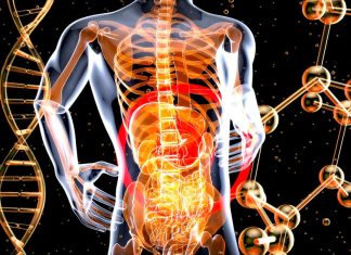 Psihobioticele: Cum influențează bacteriile intestinale anxietatea și depresia.