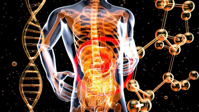 Psihobioticele: Cum influențează bacteriile intestinale anxietatea și depresia.