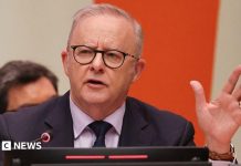 De ce Australia a ales scena ONU pentru a dezvălui atacul OpenAI asupra datelor sale