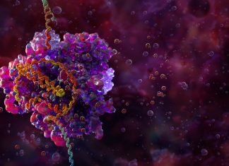 O nouă metodă CRISPR dezvăluie genele implicate în rezistența la tratamentul limfomului 0 (0)