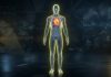 Inimile transplantate își schimbă vârsta biologică după gazdă