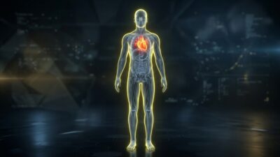 Heart-Acclimatization-400x225