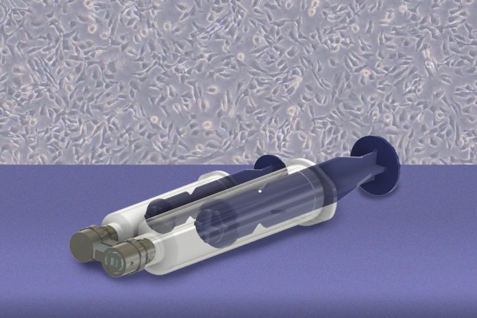 MIT-Ovarian-Detection-01-press-small