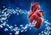 Transplantul de mitocondrii tinere ajută inima să scape de „bateriile” uzate