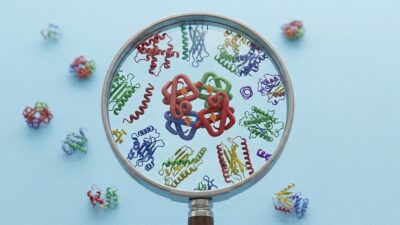 Proteins-under-magnifying-glass-400x225